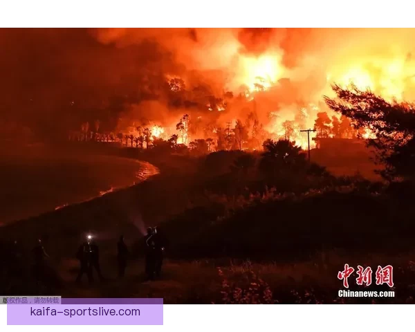 凯发体育官网入口全面解析与最新活动优惠攻略指南